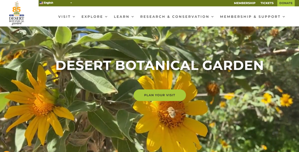 Desert Botanical Garden