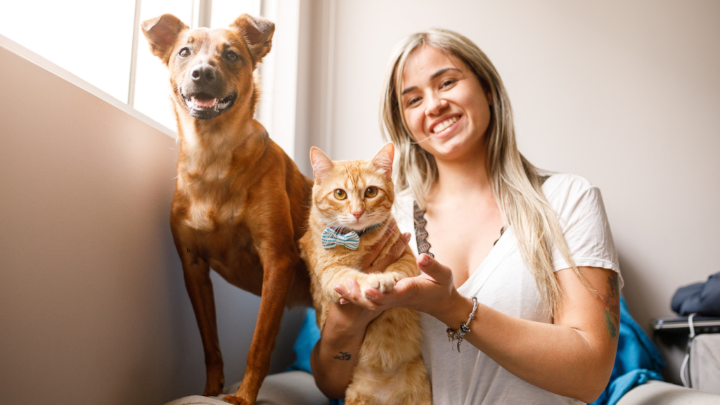 Pet Parade Show Off Furry Friends